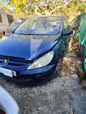 PEUGEOT 307 (S1)(04.2001) foto 5