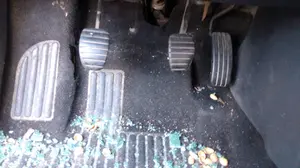 RENAULT CLIO III foto 28