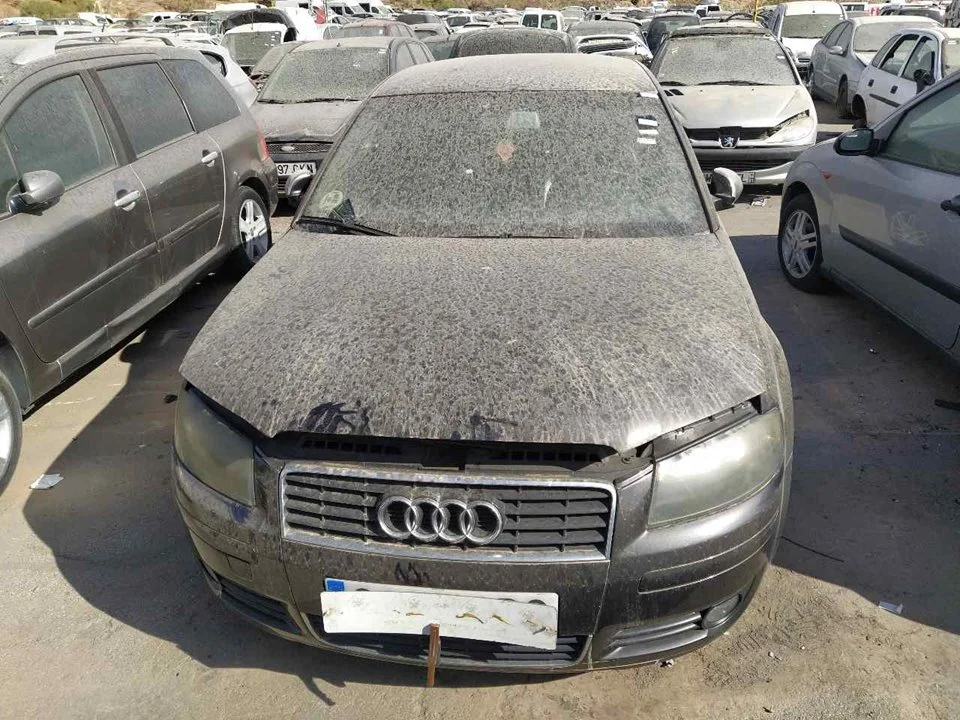 AUDI A3 (8P1)