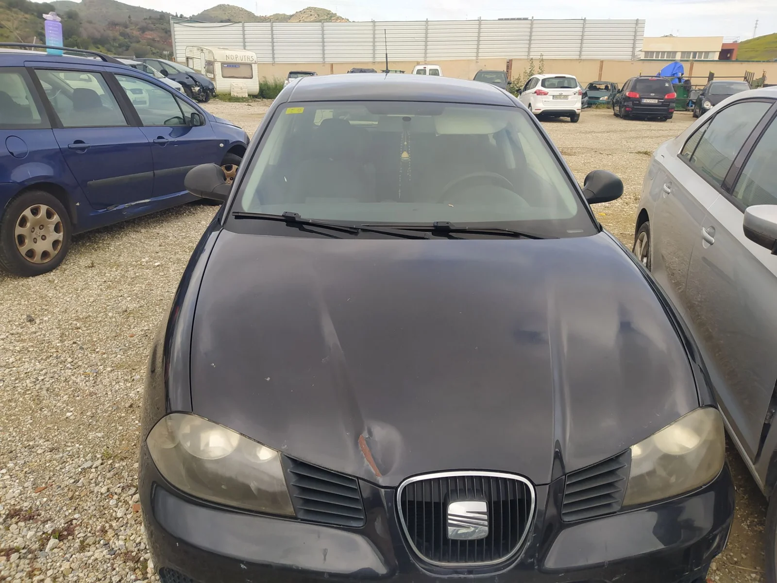 SEAT IBIZA (6L1)