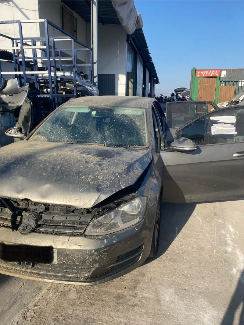 VOLKSWAGEN GOLF VII (5G1/BE1)