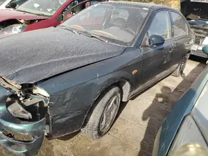 KIA SHUMA foto 6