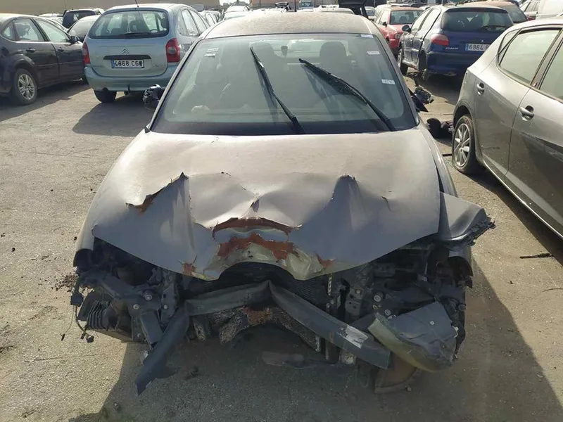SEAT IBIZA (6L1)