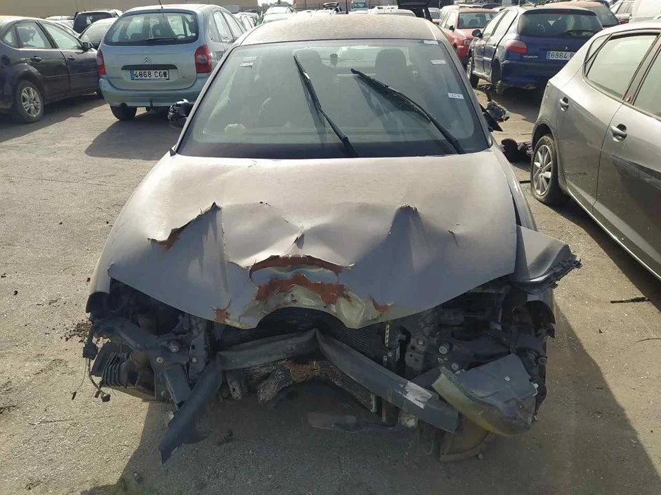 SEAT IBIZA (6L1)