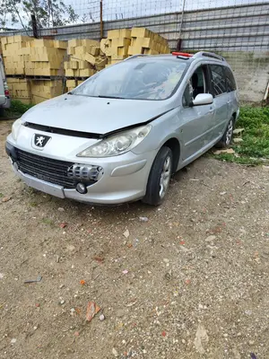 PEUGEOT 307 BREAK/ SW (S2) foto 1