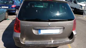 PEUGEOT 307 (S1)(04.2001) foto 26