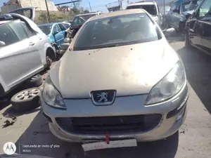 PEUGEOT 407 foto 1