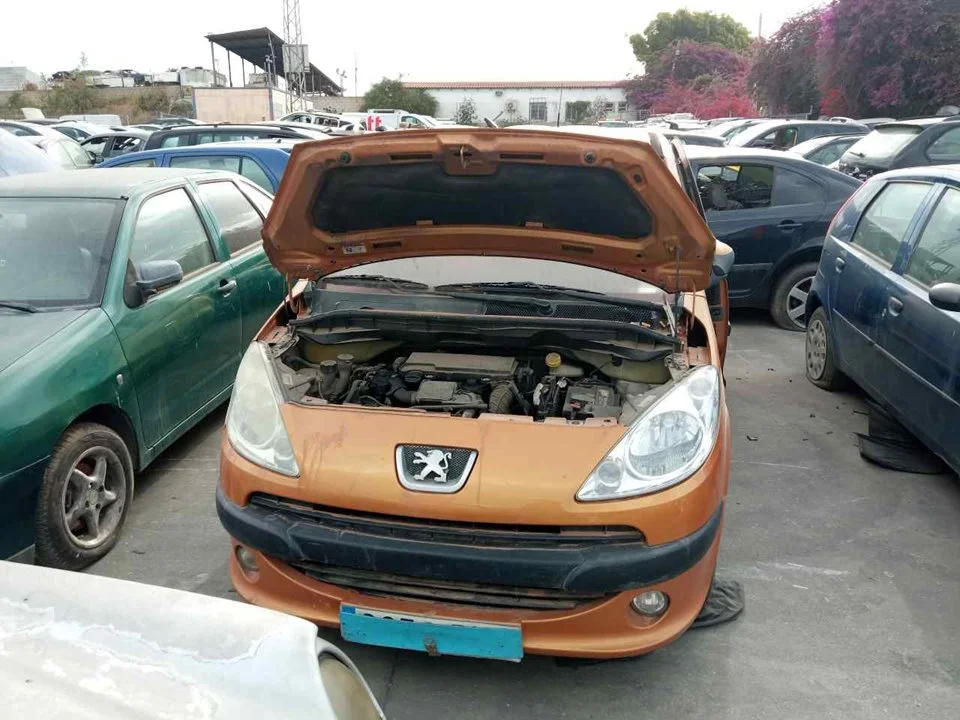PEUGEOT 1007
