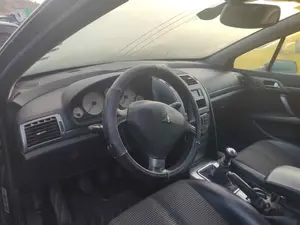 PEUGEOT 407 foto 8
