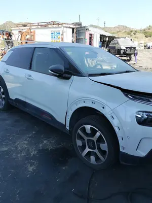 CITROEN C4 CACTUS foto 3