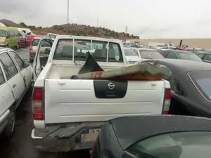 NISSAN PICKUP (D22) foto 4