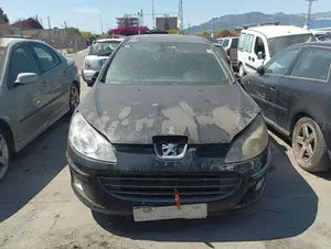 PEUGEOT 407 SW foto 1