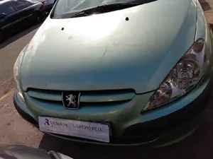 PEUGEOT 307 (S1)(04.2001) foto 1