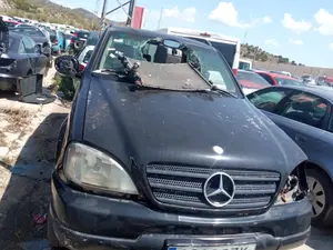 MERCEDES-BENZ CLASE ML (BM 163) foto 1