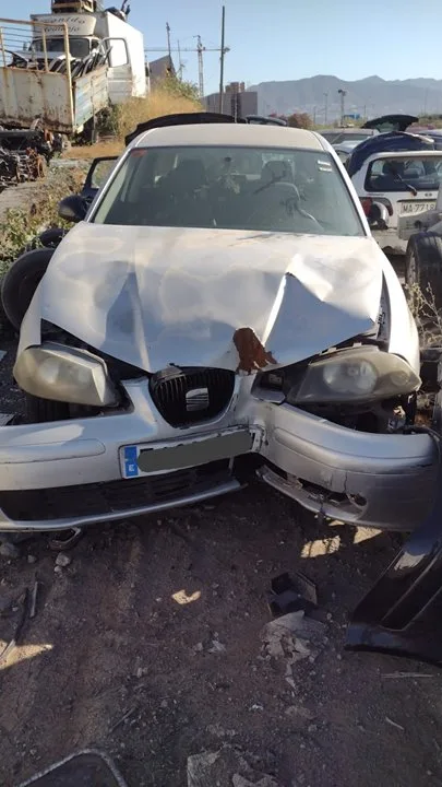 SEAT IBIZA (6L1)