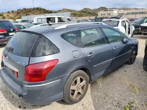 PEUGEOT 407 SW foto 3