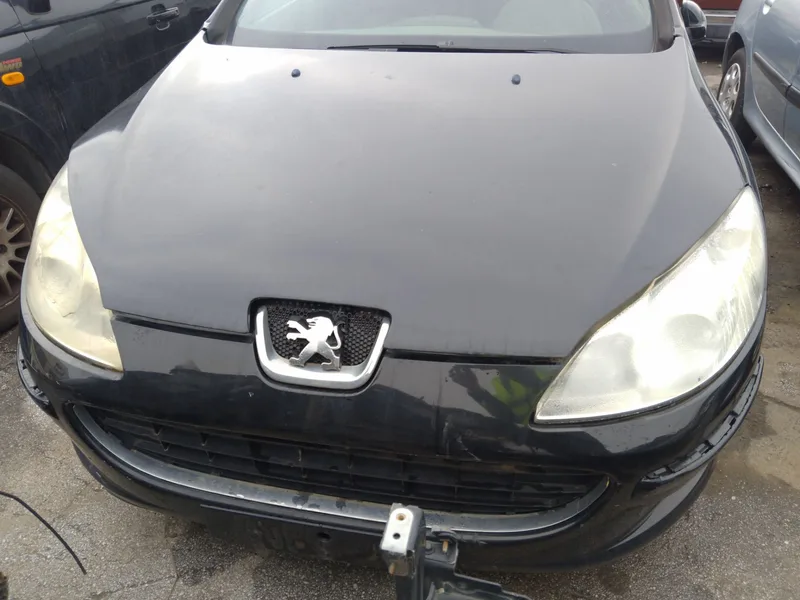 PEUGEOT 407