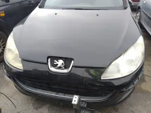 PEUGEOT 407 foto 1