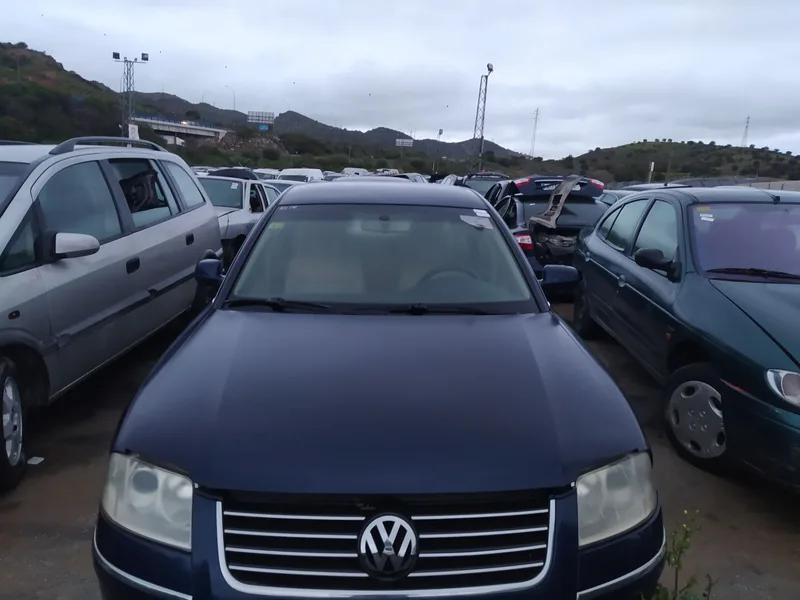 VOLKSWAGEN PASSAT BERLINA (3B3)