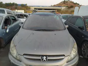 PEUGEOT 307 BREAK / SW (S1)(04.2002) foto 1