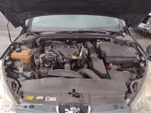 PEUGEOT 407 foto 2