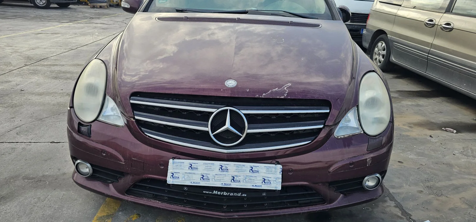 MERCEDES-BENZ CLASE R (BM 251)