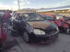 VOLKSWAGEN GOLF V (1K1)(10.2003) foto 4