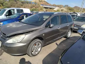 PEUGEOT 307 BREAK / SW (S1)(04.2002) foto 3