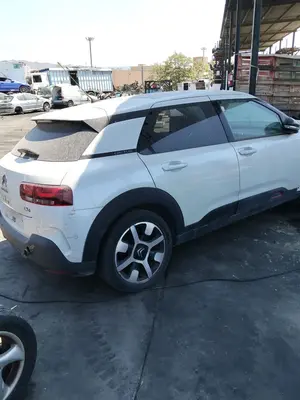 CITROEN C4 CACTUS foto 4