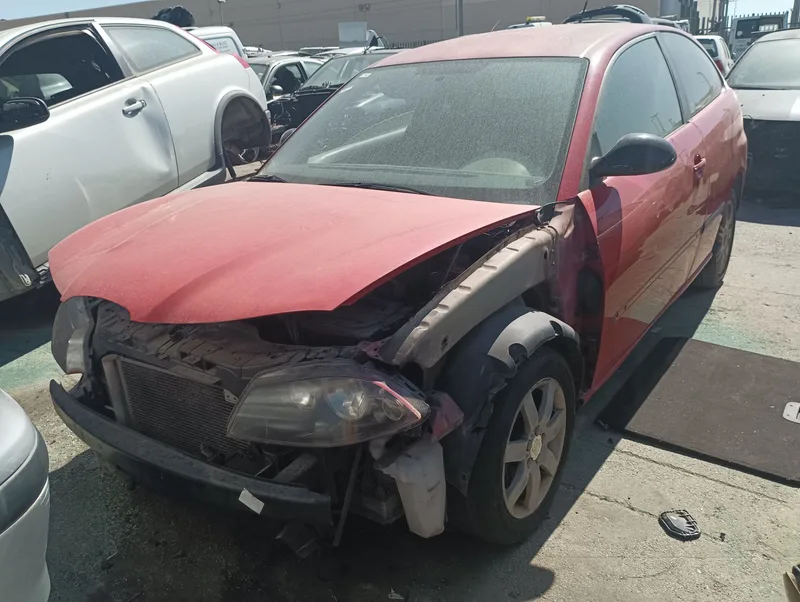 SEAT IBIZA (6L1)