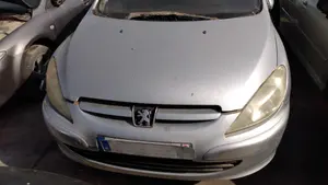 PEUGEOT 307 (S1)(04.2001) foto 1