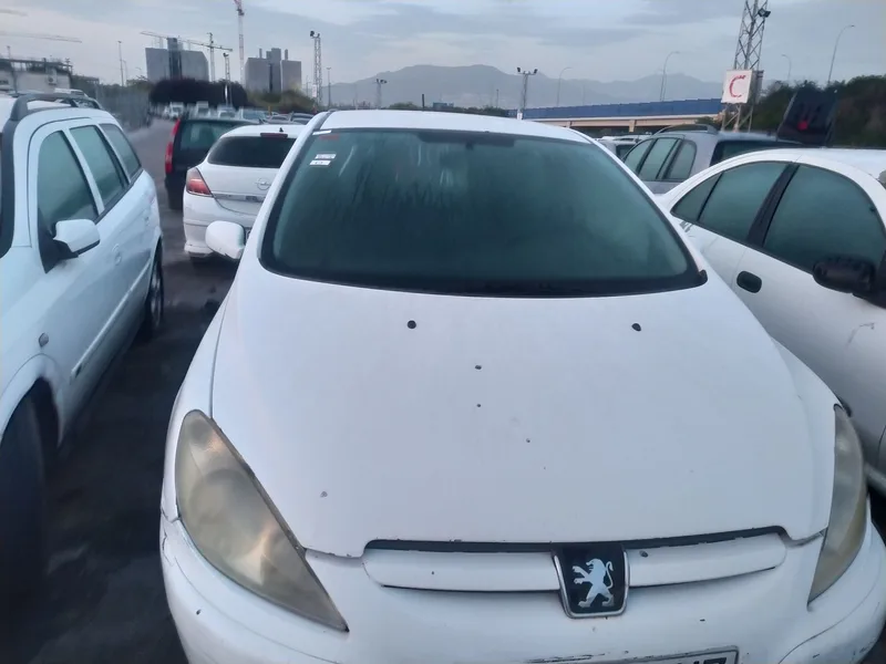 PEUGEOT 307 (S1)(04.2001)