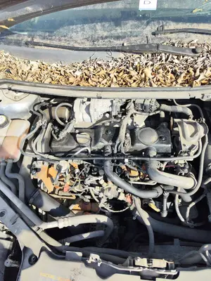FORD FOCUS BERLINA (CAP) foto 4