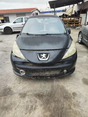 PEUGEOT 207 foto 1