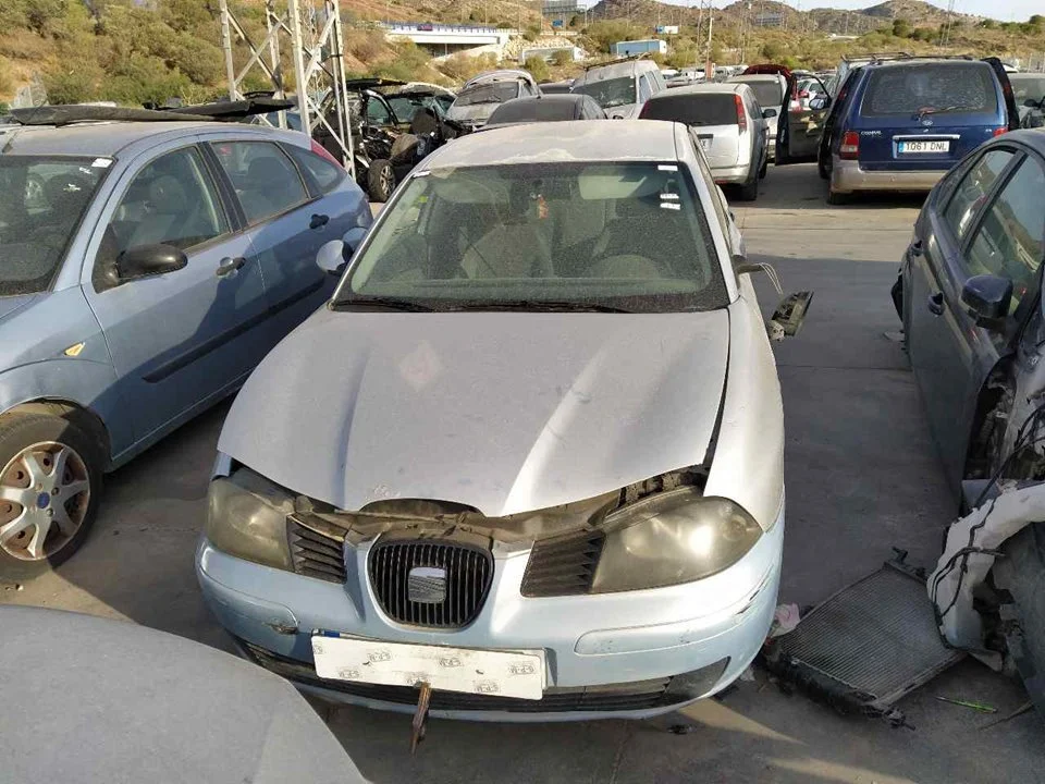 SEAT IBIZA (6L1)