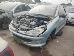 PEUGEOT 206 CC CABRIO-COUPÉ foto 1