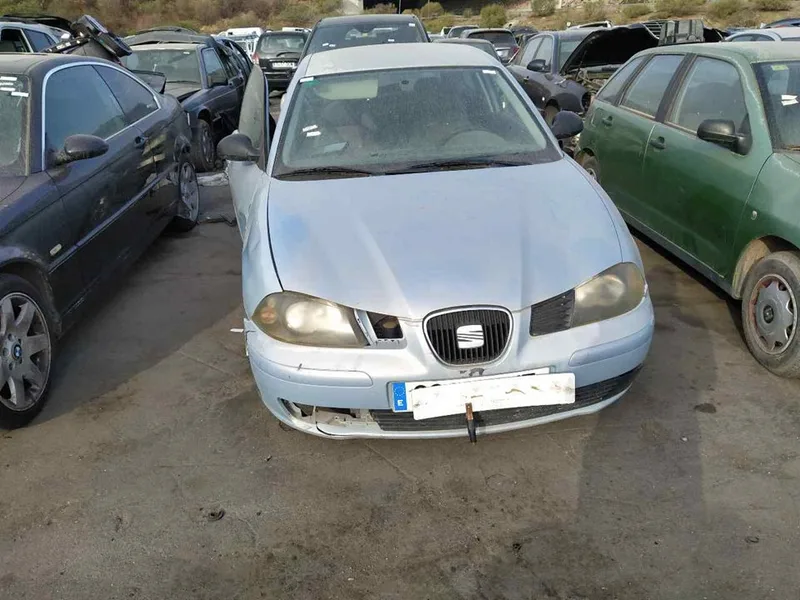 SEAT IBIZA (6L1)