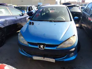 PEUGEOT 206 foto 1