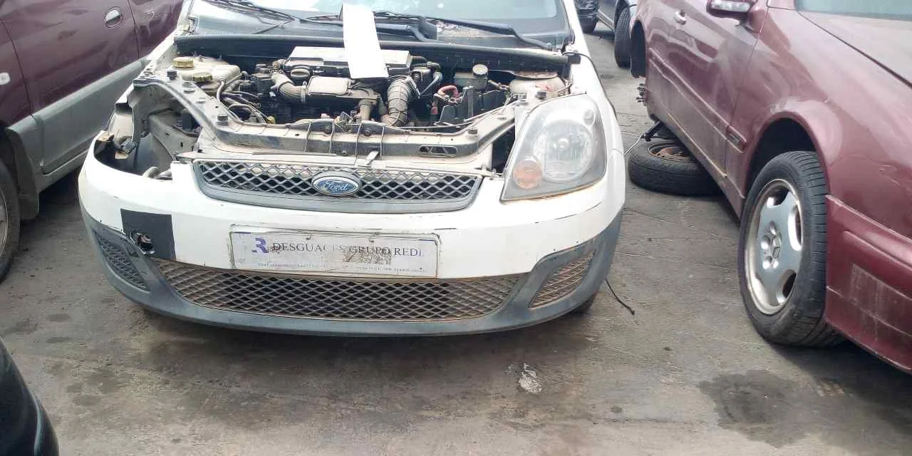 FORD FIESTA (CBK)