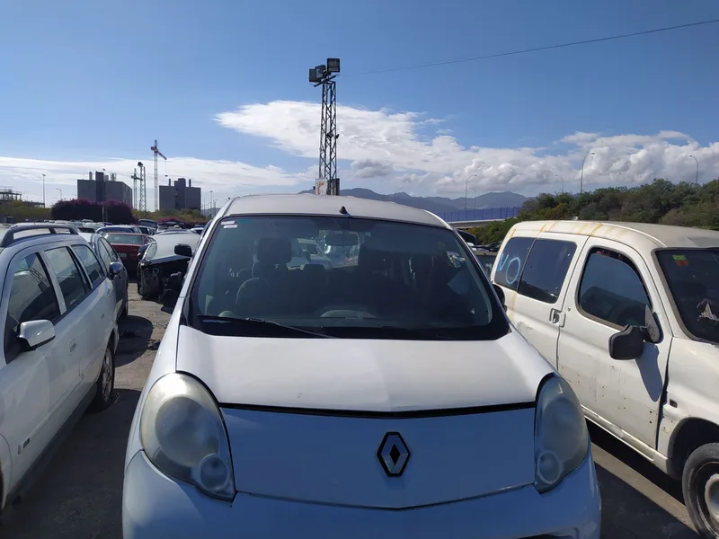 RENAULT KANGOO II (F/KW0)