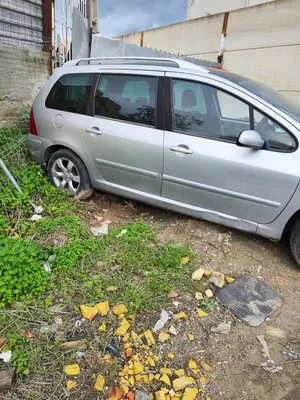 PEUGEOT 307 BREAK/ SW (S2) foto 3