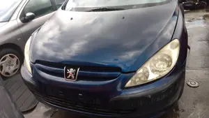 PEUGEOT 307 (S1)(04.2001) foto 1
