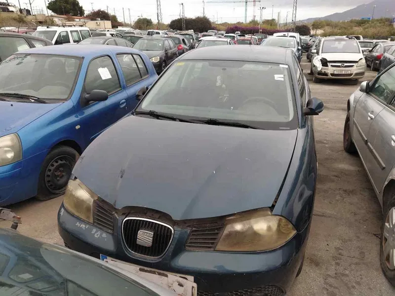 SEAT IBIZA (6L1)